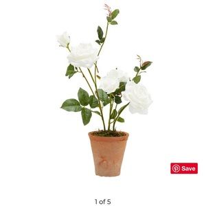 POTTERY BARN Rose Display